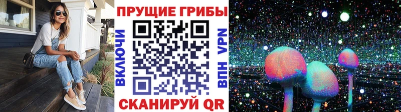 Псилоцибиновые грибы ЛСД Югорск